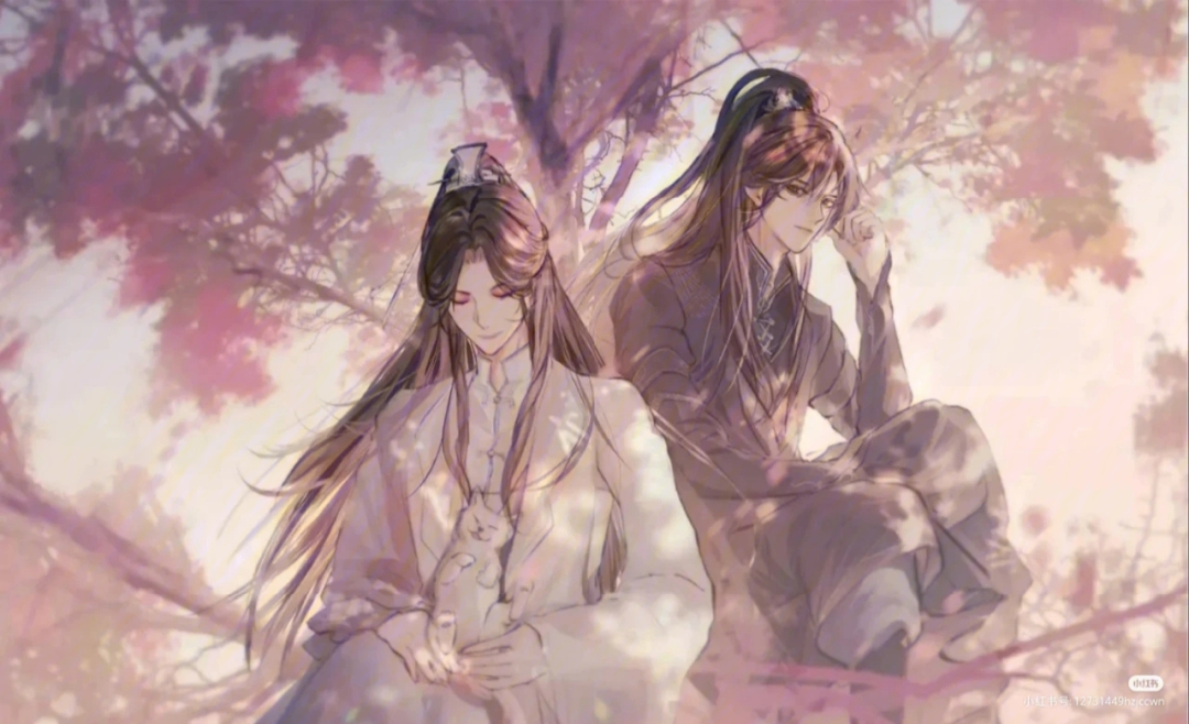 二哈和他的白猫师尊