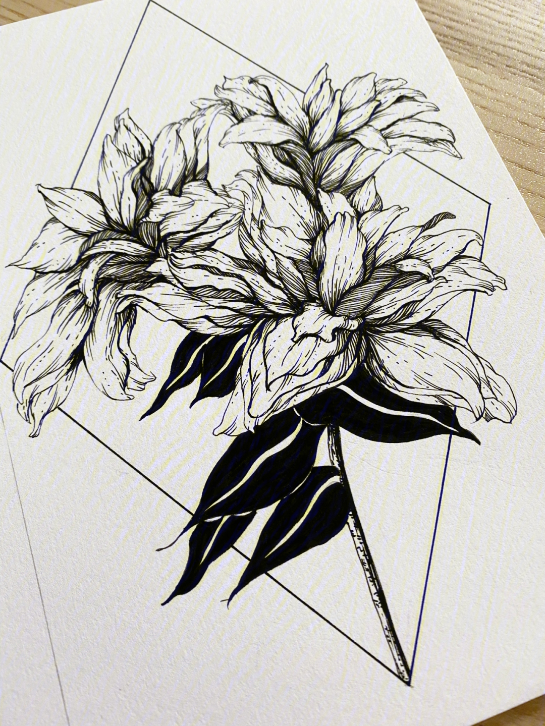 黑白线描花卉一株可爱的百合简单的小花