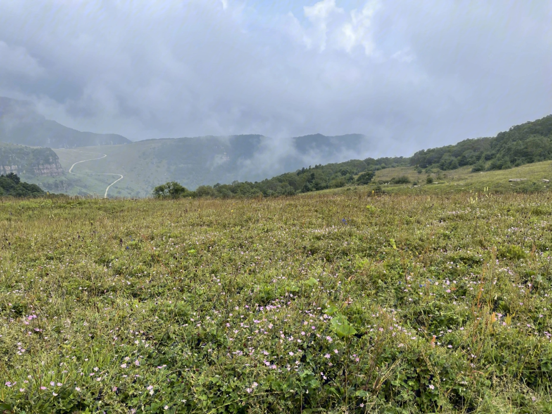 历山舜王坪7215