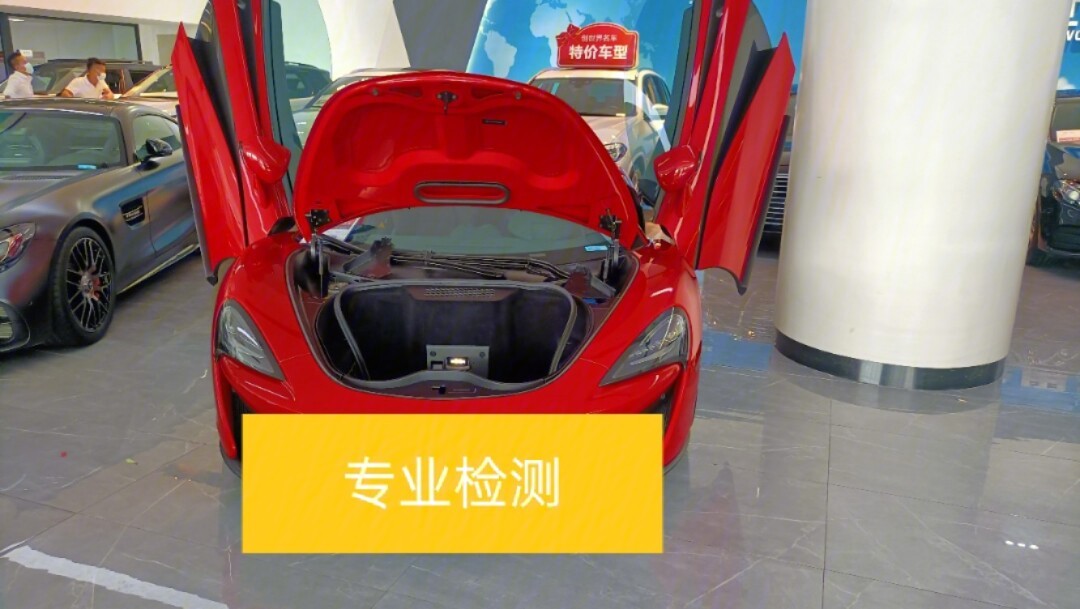 帮上海粉丝检测迈凯轮540c长沙二手车检测