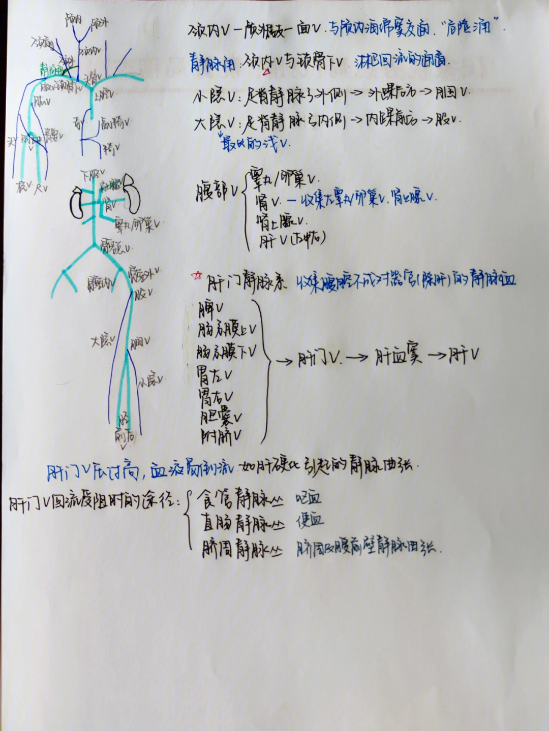 系解脉管笔记