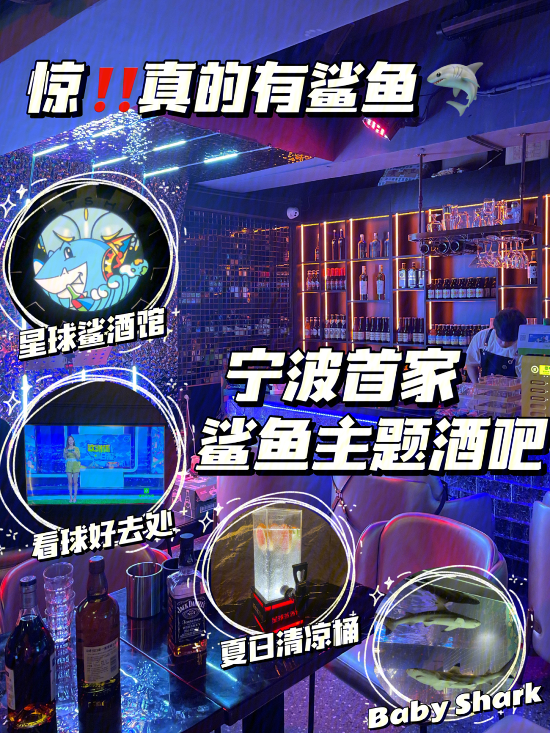 鲨鱼星球演员表图片