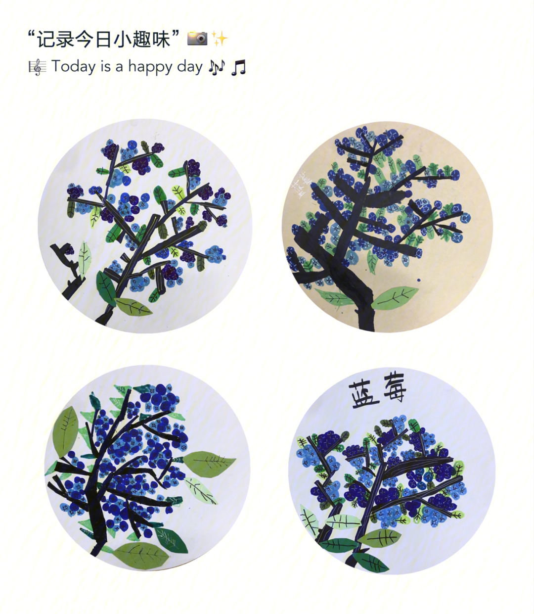 蓝莓树56岁