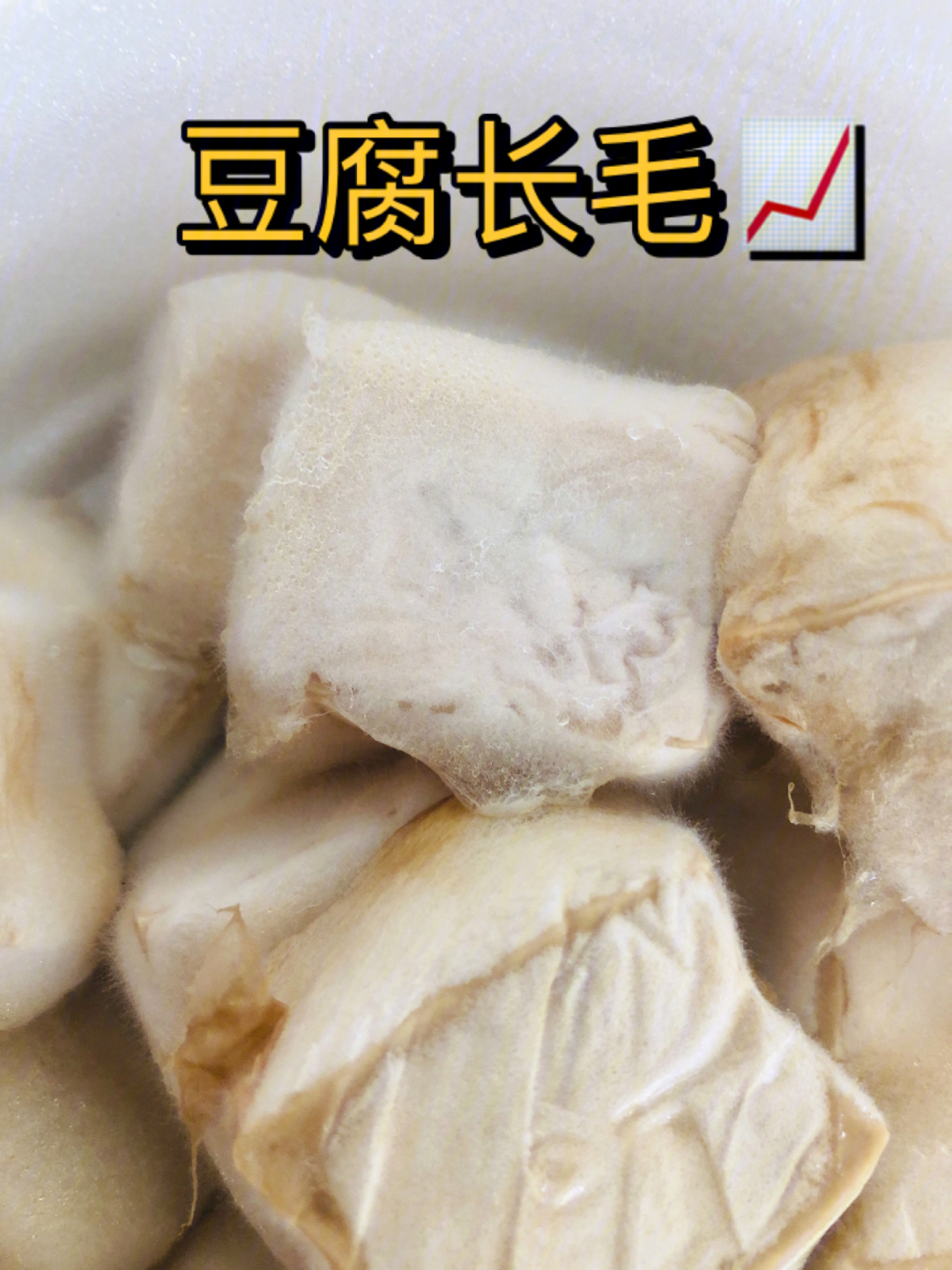 谁吃过长毛豆腐