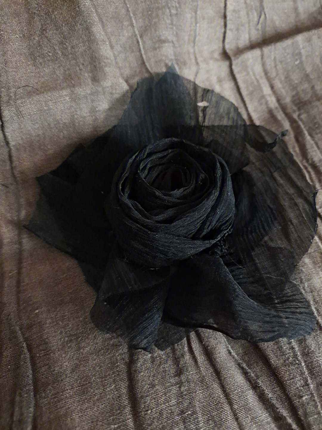 黑色蔷薇花