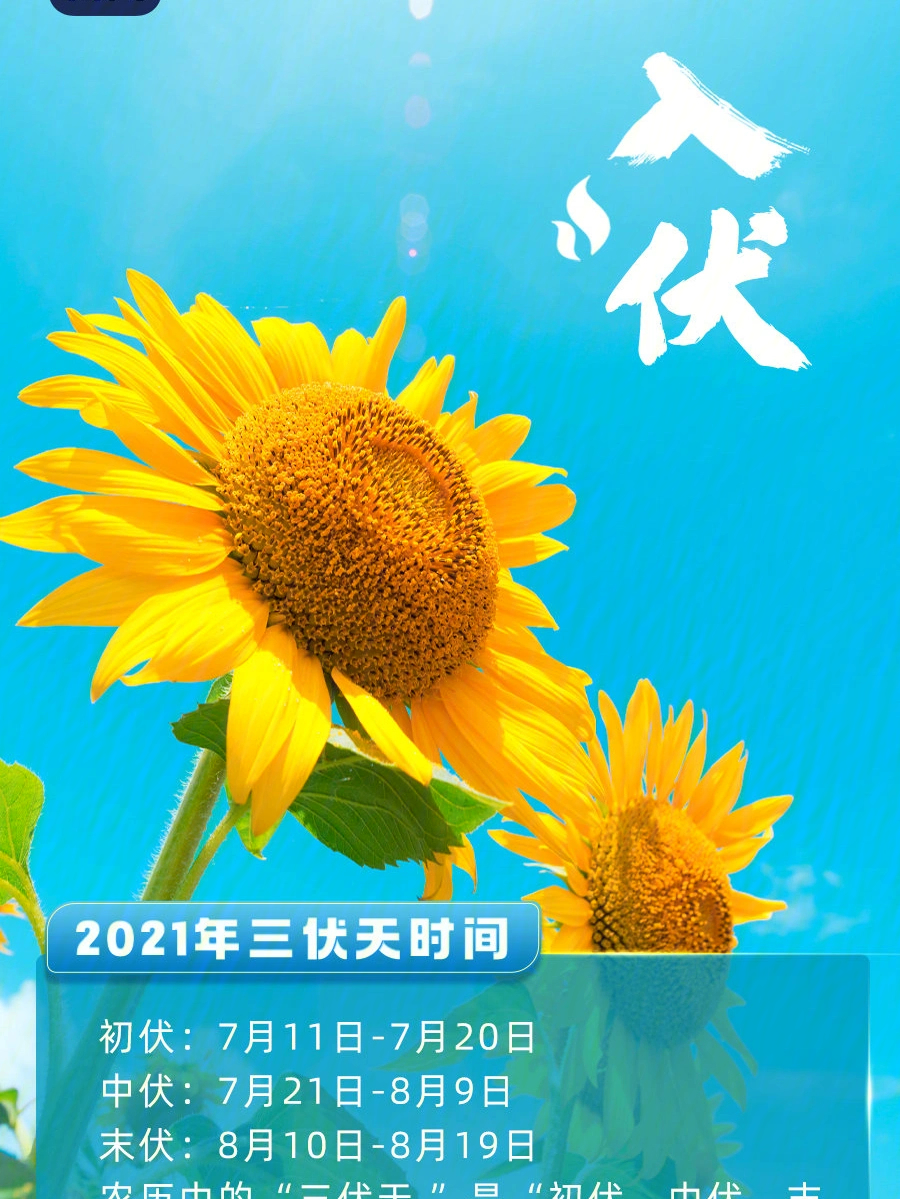 今天入伏 今年三伏共有40天,是一年中最热的时节.