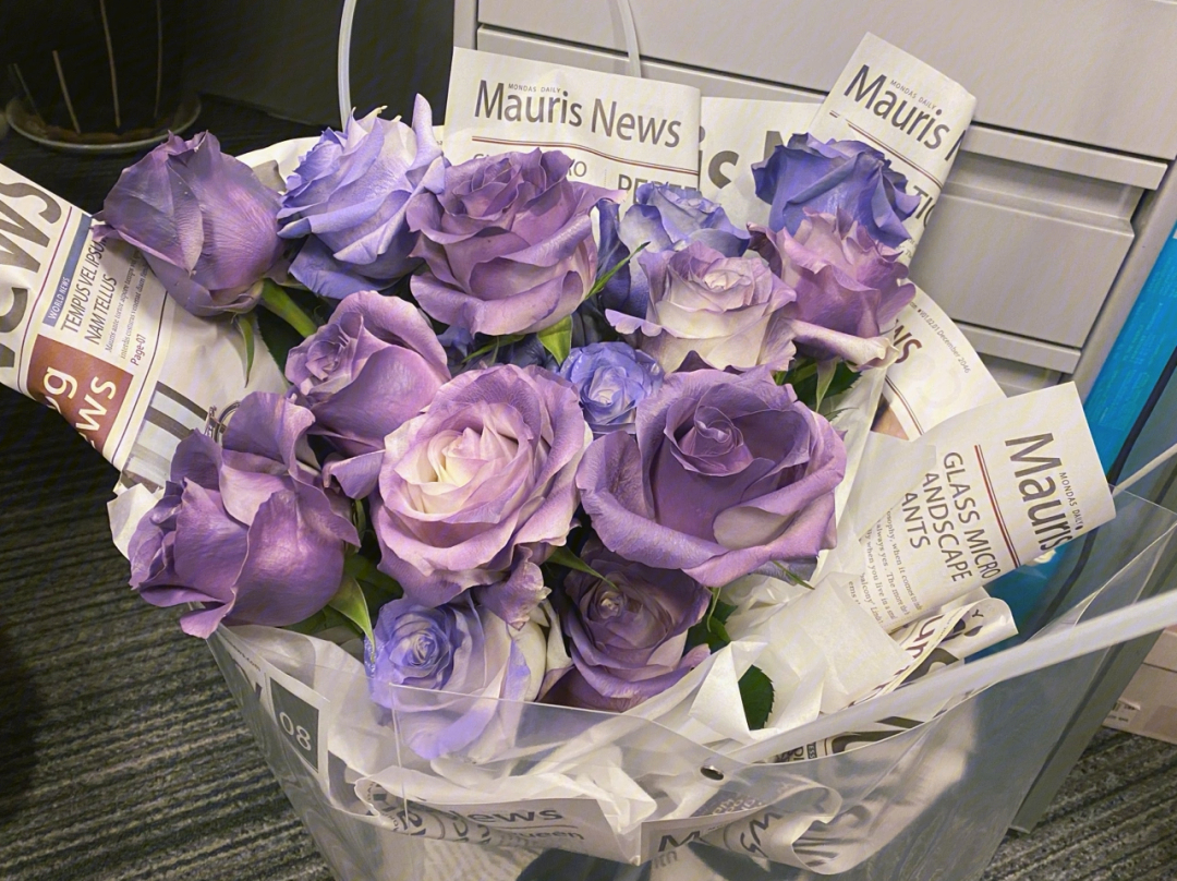 紫灰玫瑰花语图片