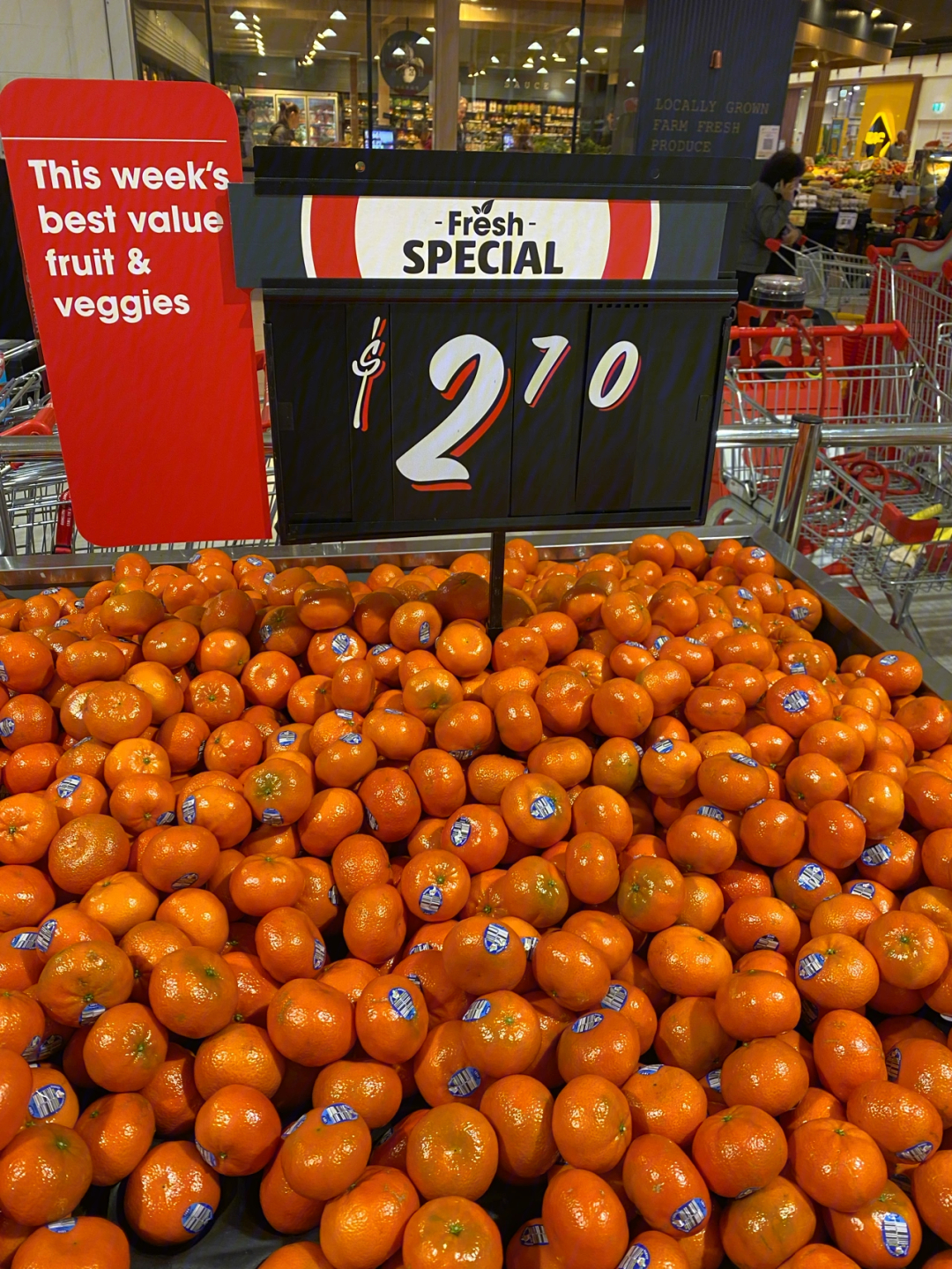 澳洲生活喜欢吃橘子的快冲鸭