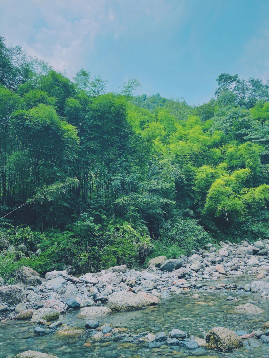 大邑县雾山图片