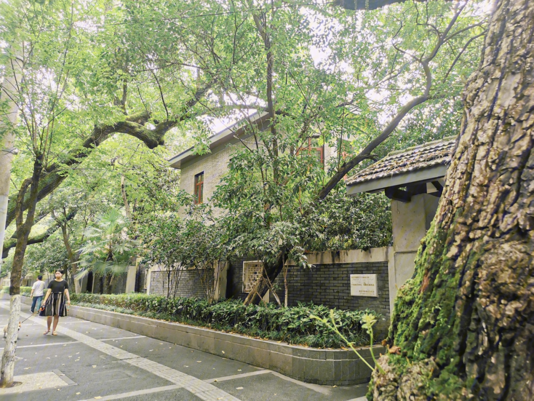 颐和路 民国图片