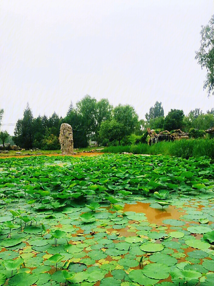 北京探店蟹岛绿色生态度假村