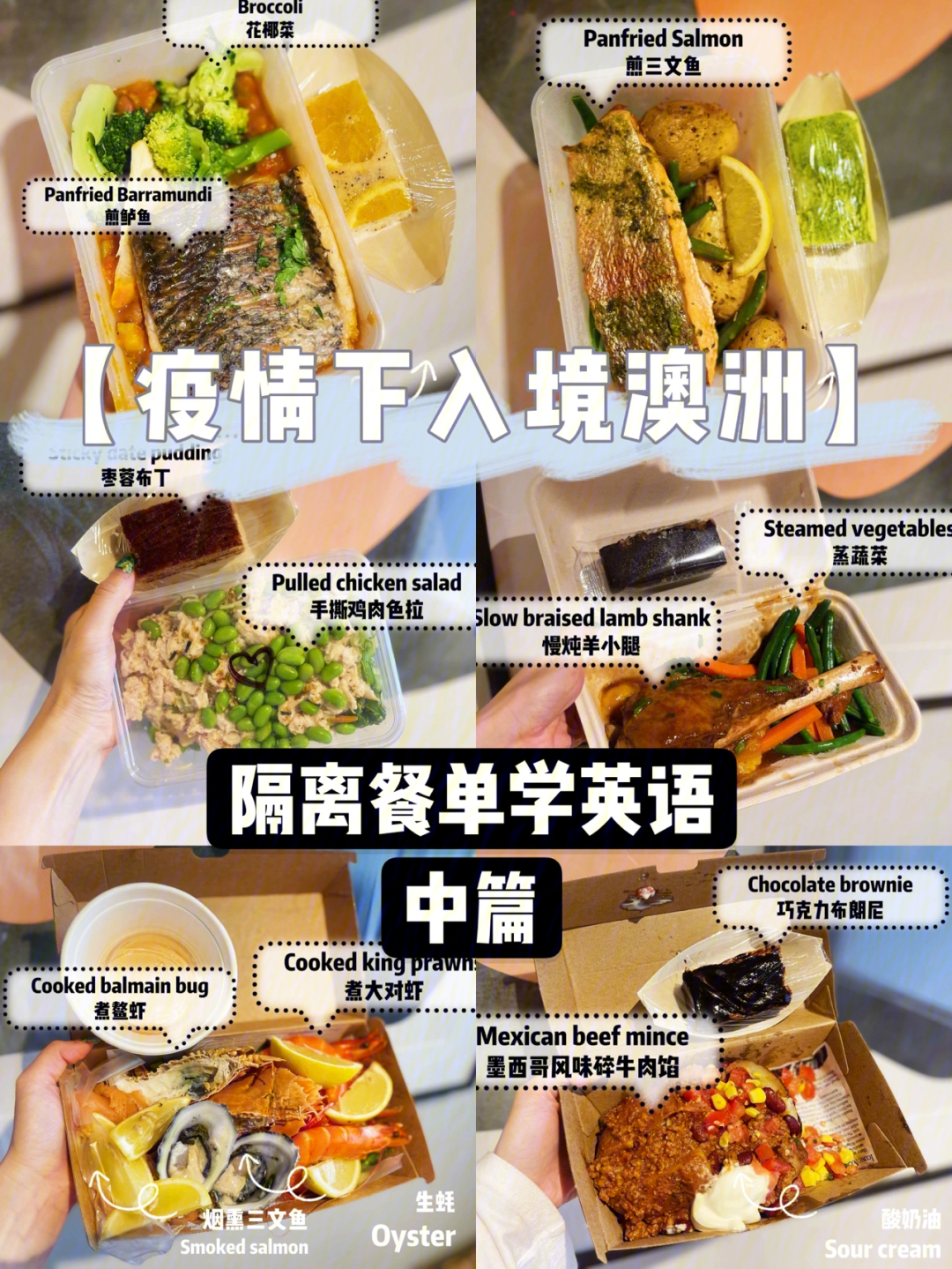 mealsalad菜单图片图片