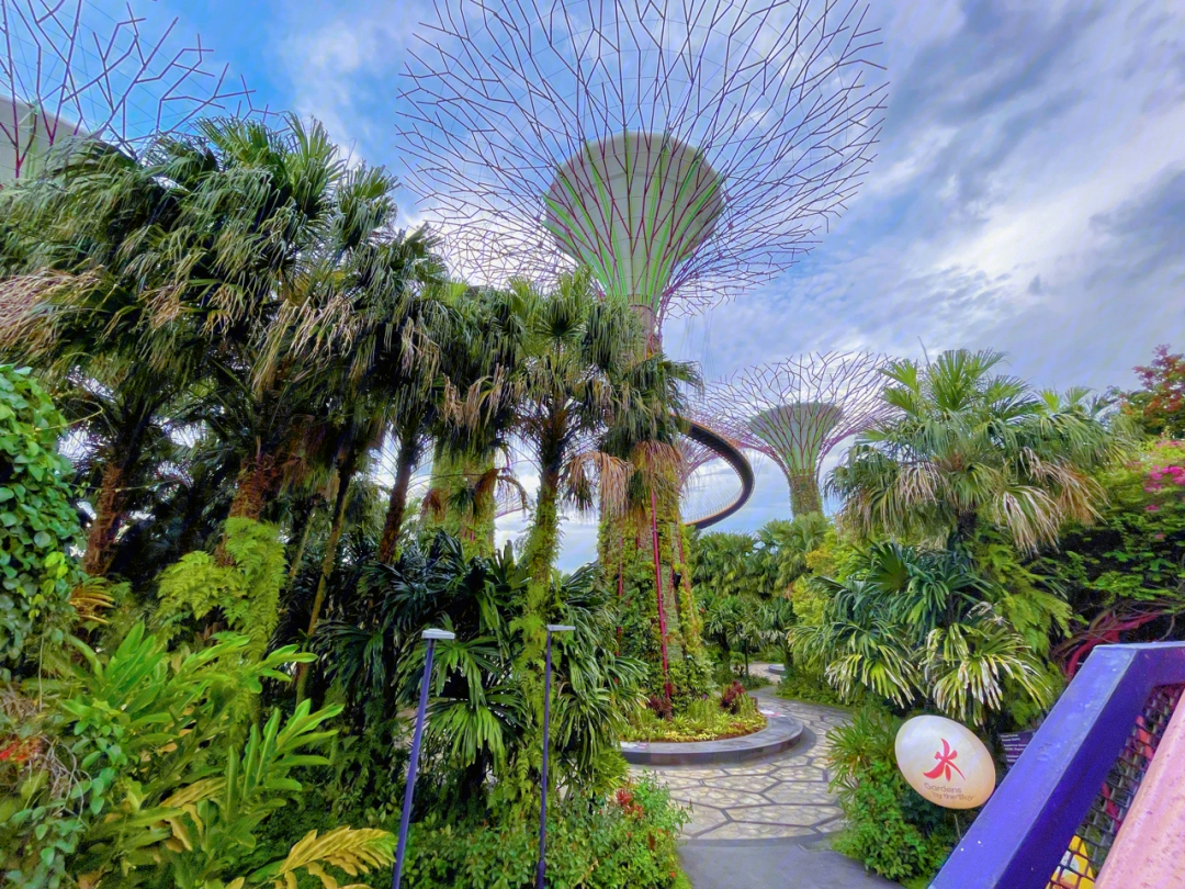新加坡滨海湾花园介绍图片