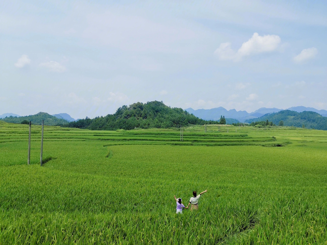 贵州省贵阳市夏日田园图片