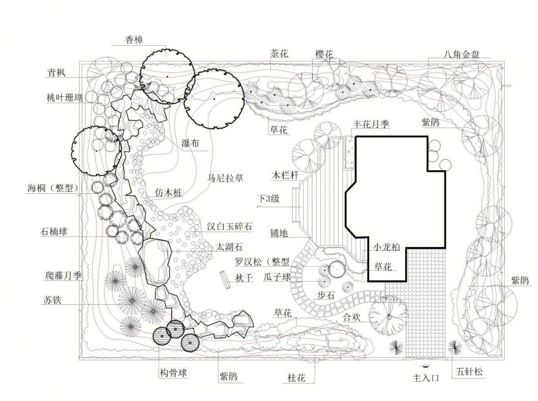 红叶石楠图例图片