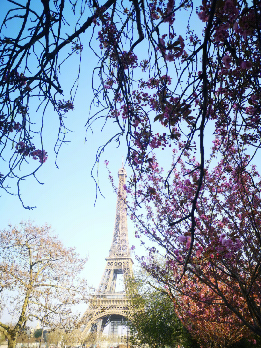 春天的巴黎铁塔