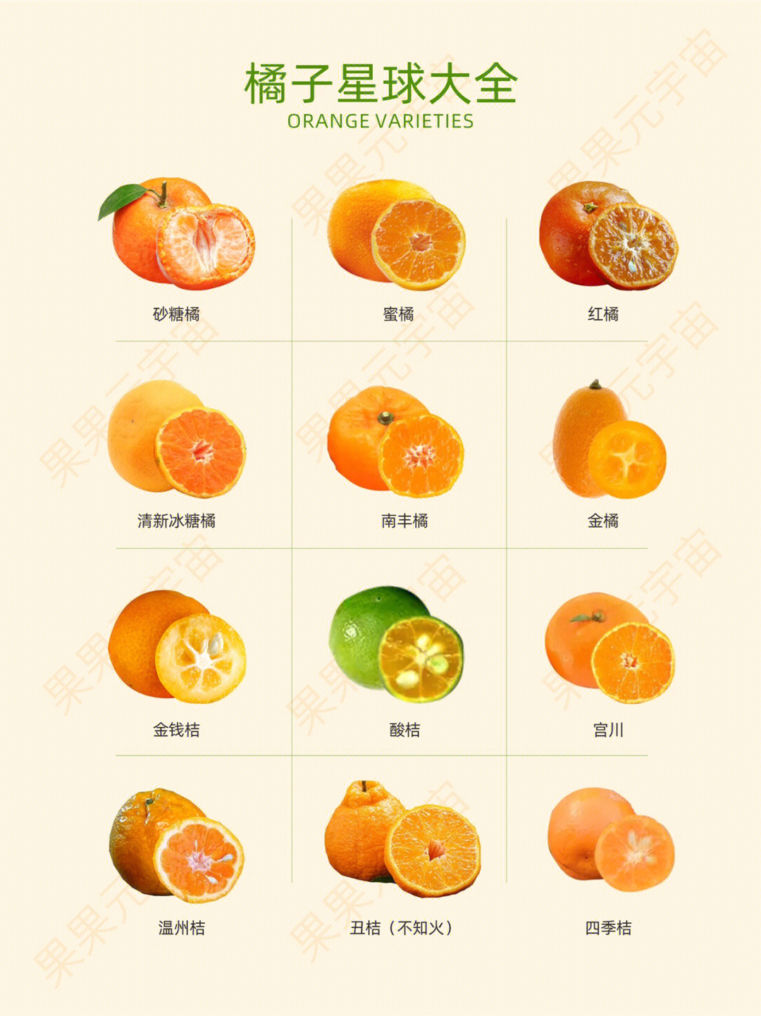 柑子种类图片