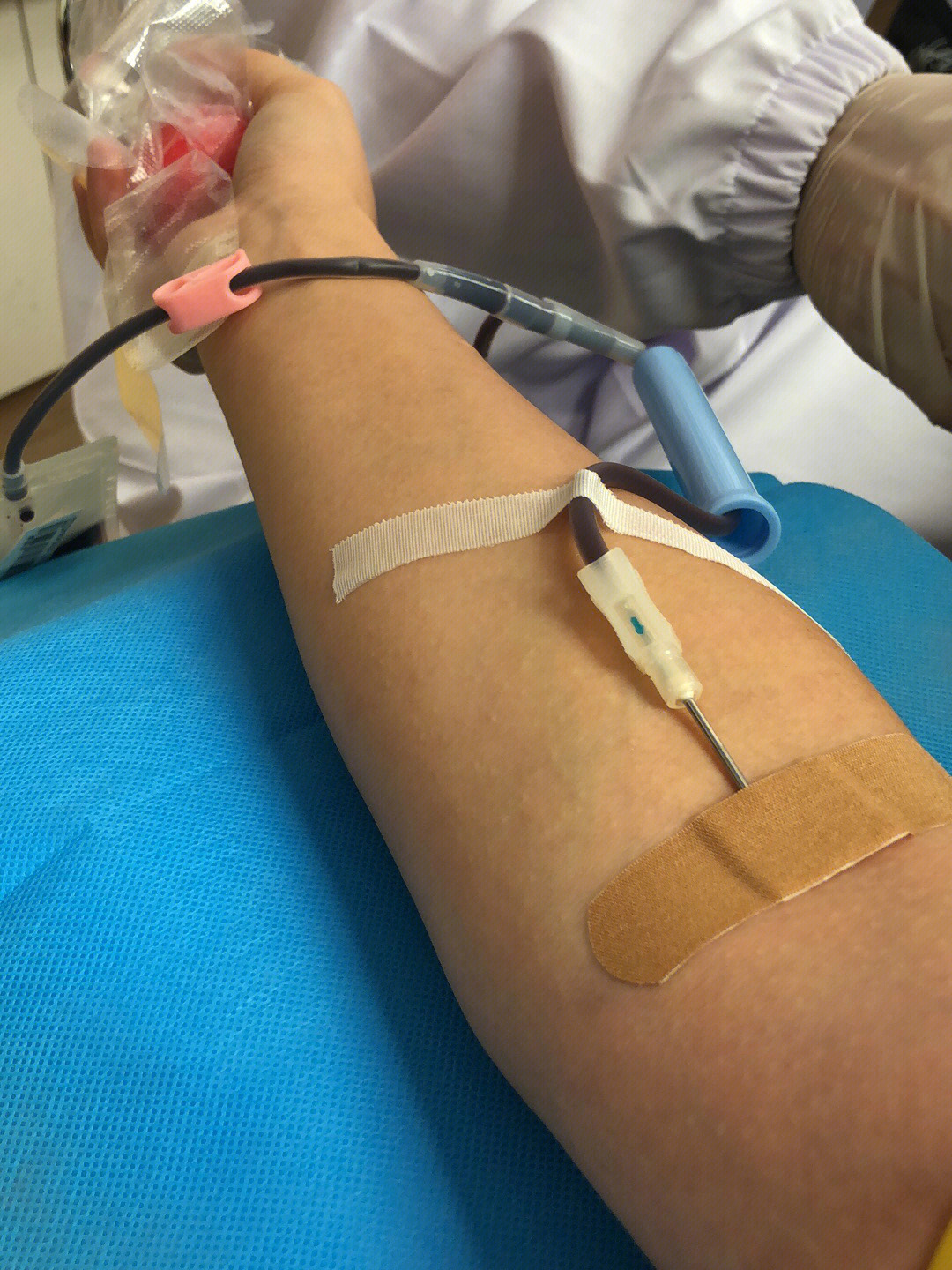 无偿献血针头图片