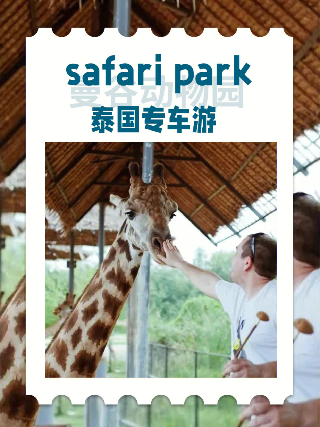 非玩不可泰国safaripark包车游