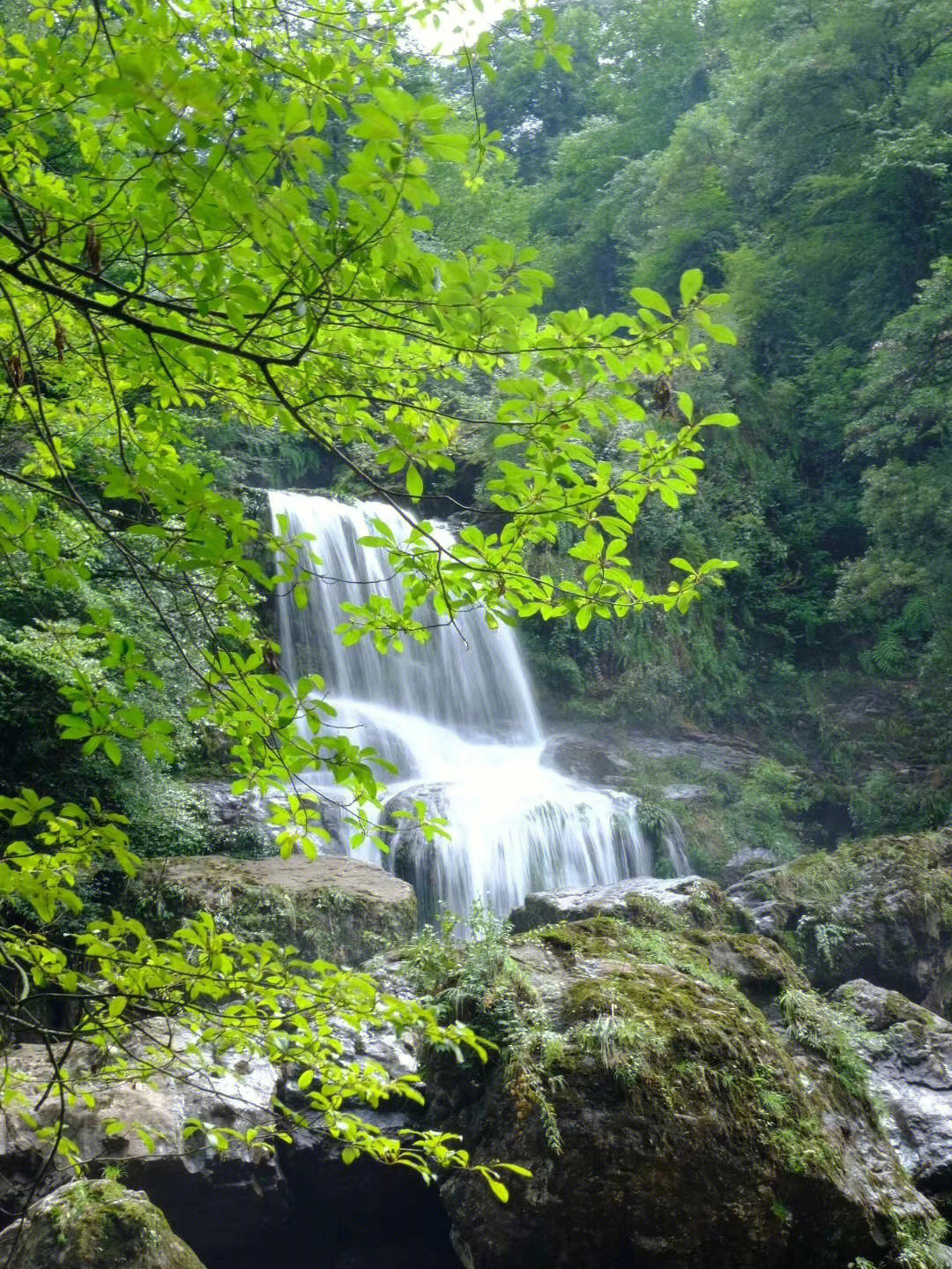 龙苍沟国家森林公园