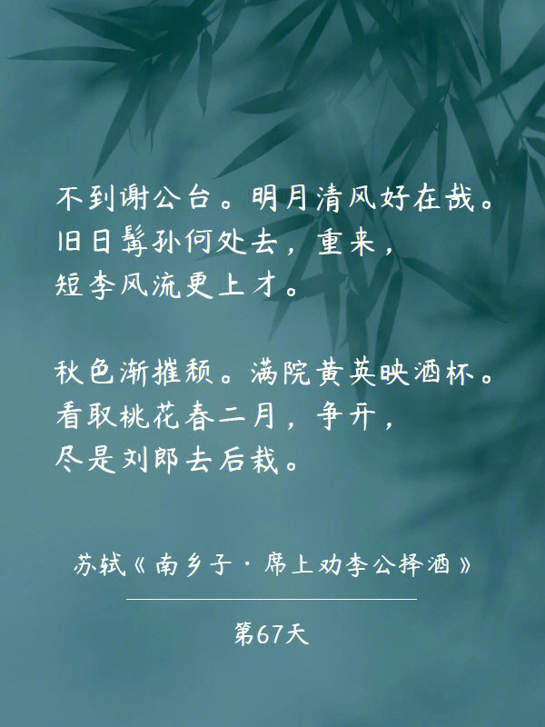 98苏轼对朋友的爱称:孙大胡子,李矮子
