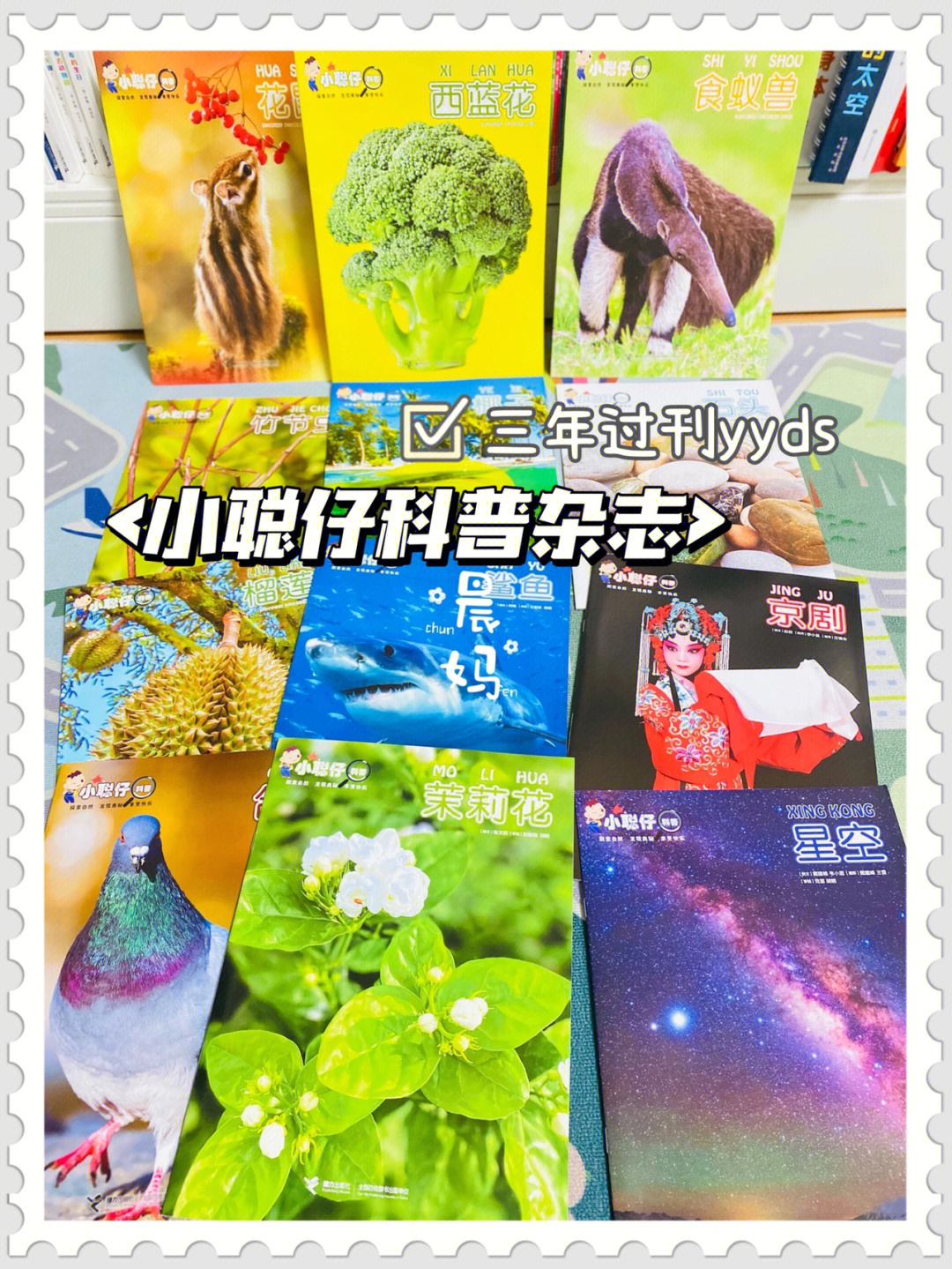 2岁必须拥有的科普杂志小聪仔三年过刊