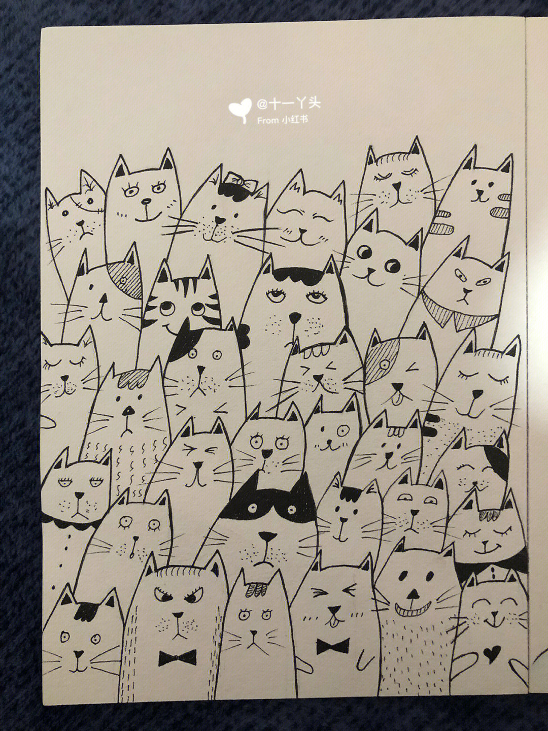 叠叠猫简笔画 可爱图片
