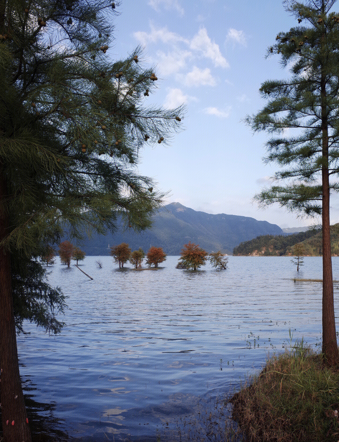 黄岩湿地公园图片