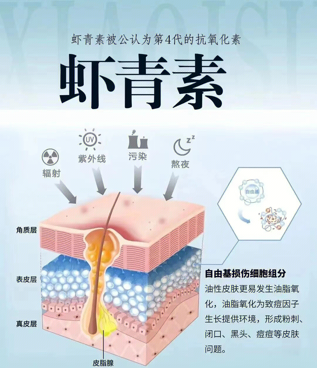 虾青素正品图片价格表图片