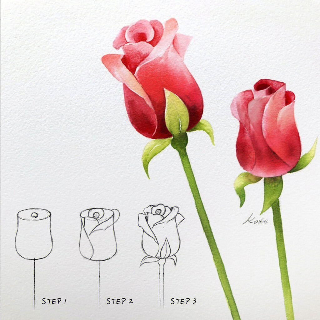 玫瑰花的叶子 画法图片