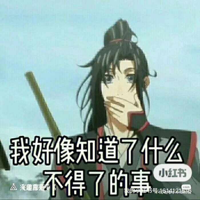 魔道祖师表情包3