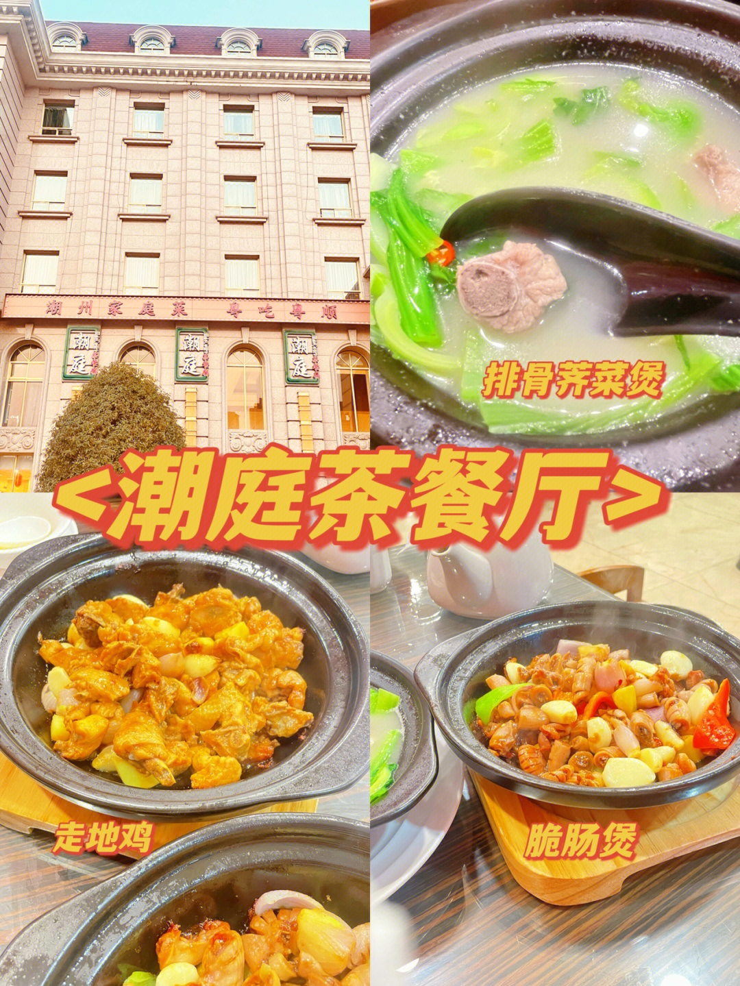 郑州探店正宗粤菜潮庭茶餐厅