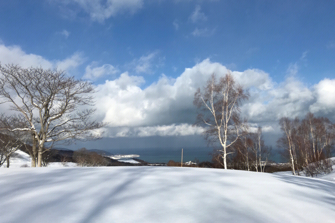 北海道童话般的雪景