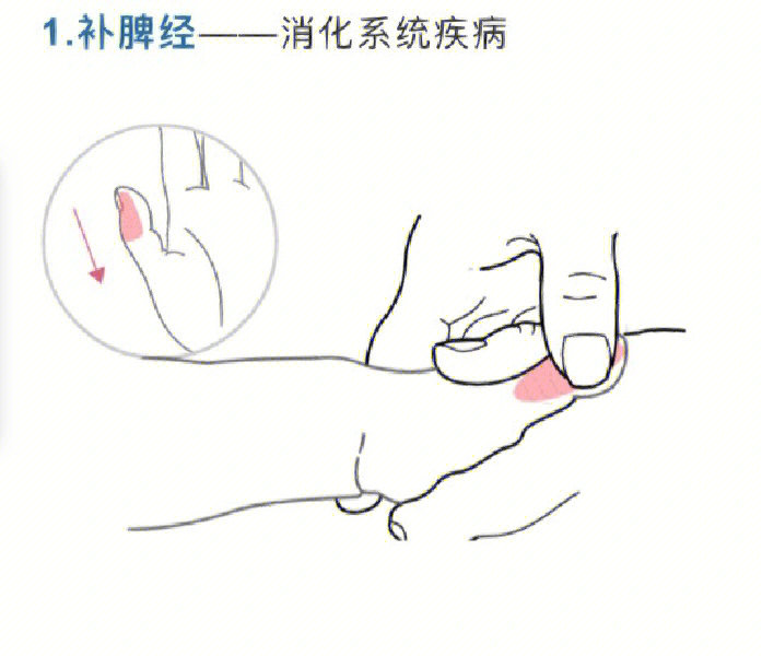 合阴阳的准确位置图片图片