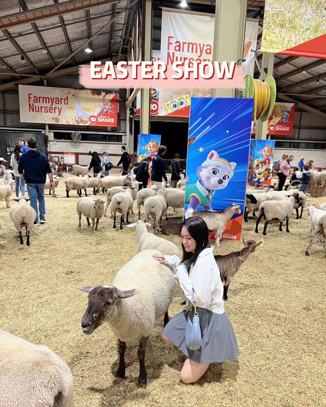 royal easter show图片