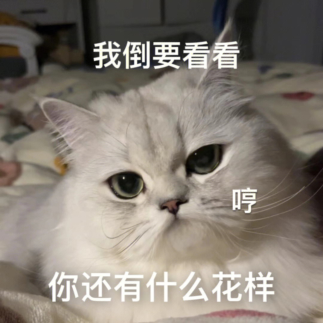 我倒要看看是谁理不直气也壮