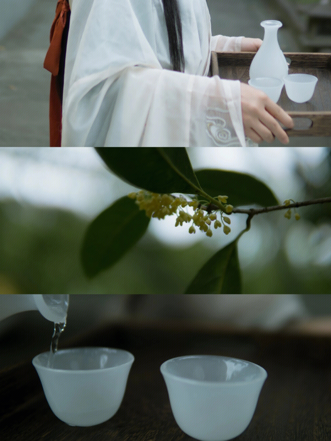 欲买桂花同载酒