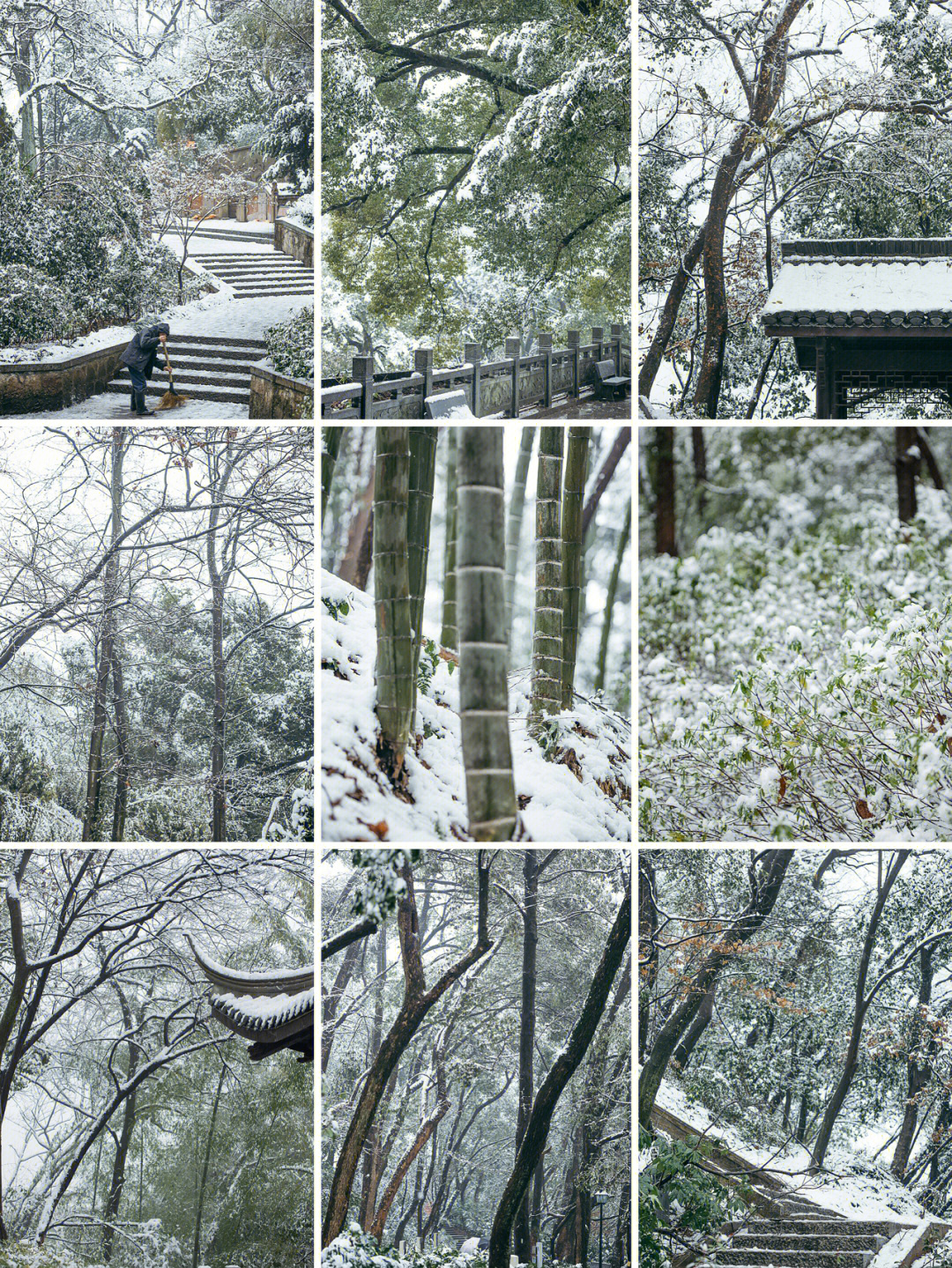 老余杭塔山公园简介图片