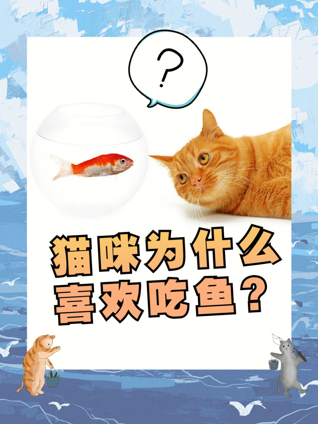 猫咪喜欢吃鱼背后的小秘密