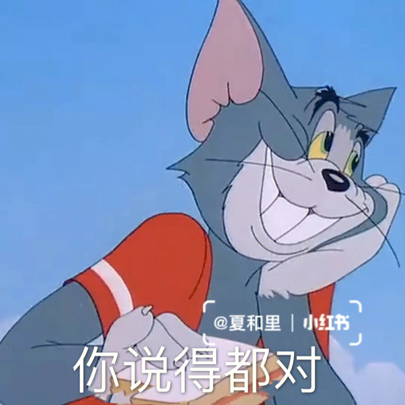 猫和老鼠你的心房图片