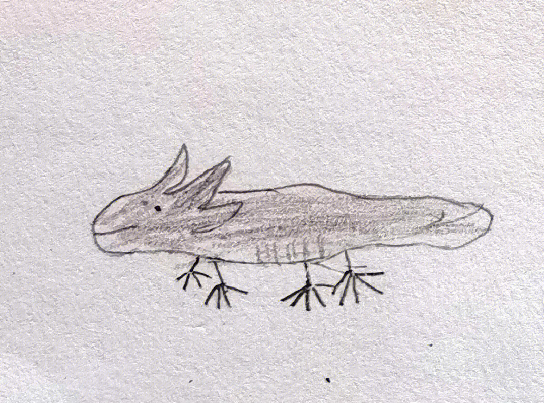 六角恐龙鱼 简笔画图片