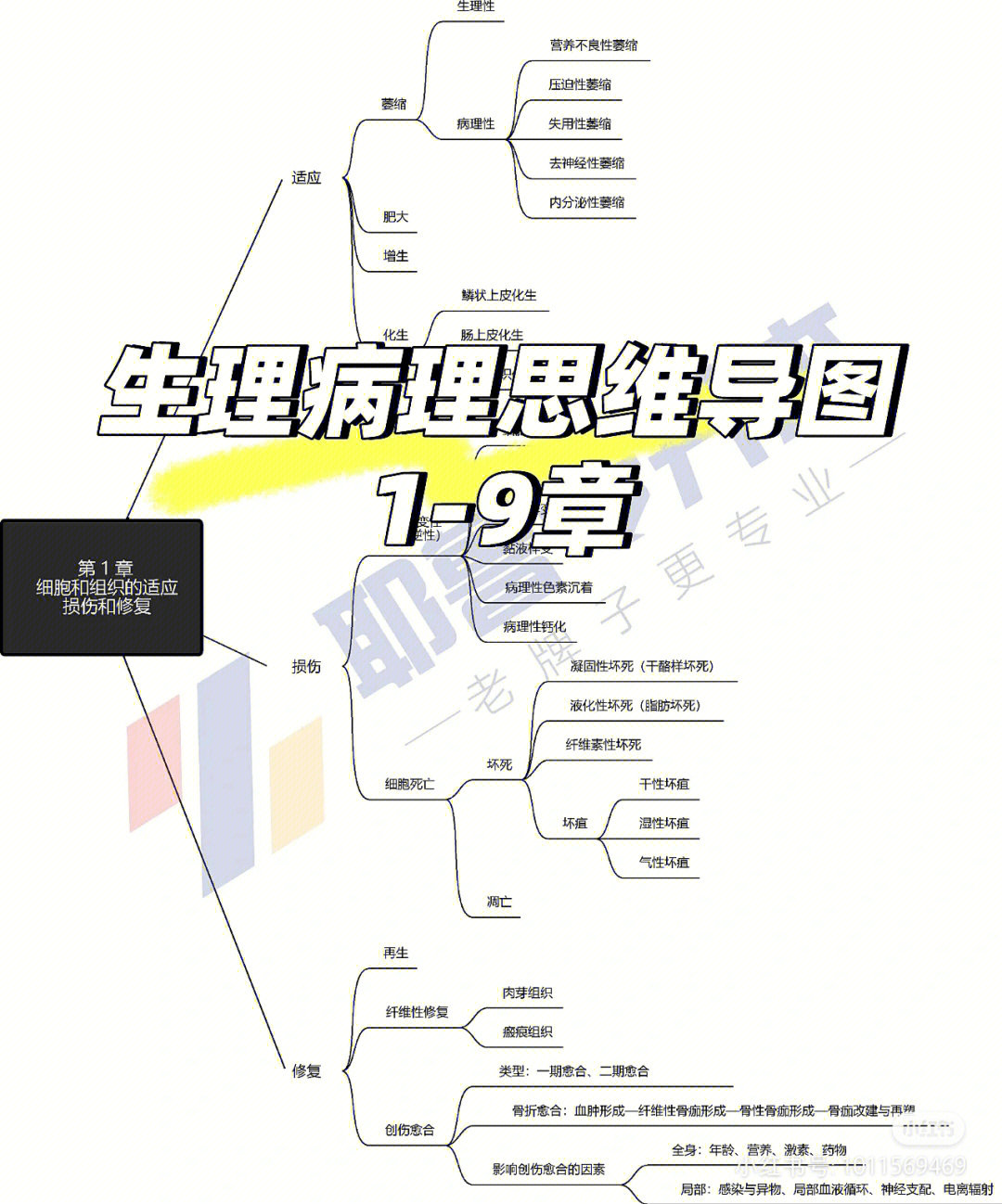 病理第四章思维导图图片