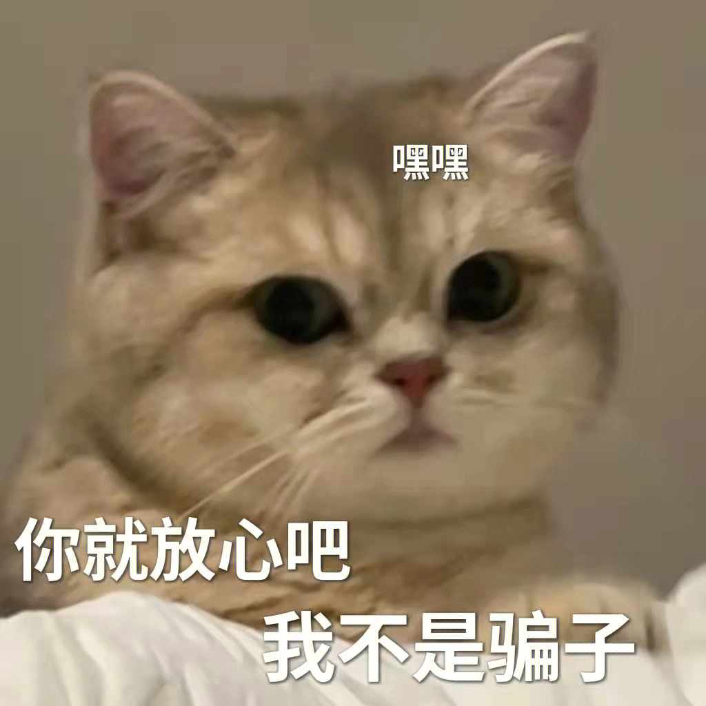 买你一晚表情包猫咪图片