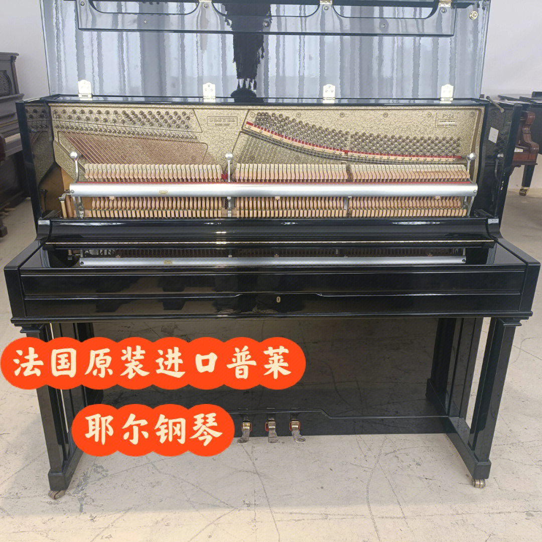 1807年,伊纳兹普莱耶尔(igrlaz pleyel)在他50岁的时候成立了他的钢琴