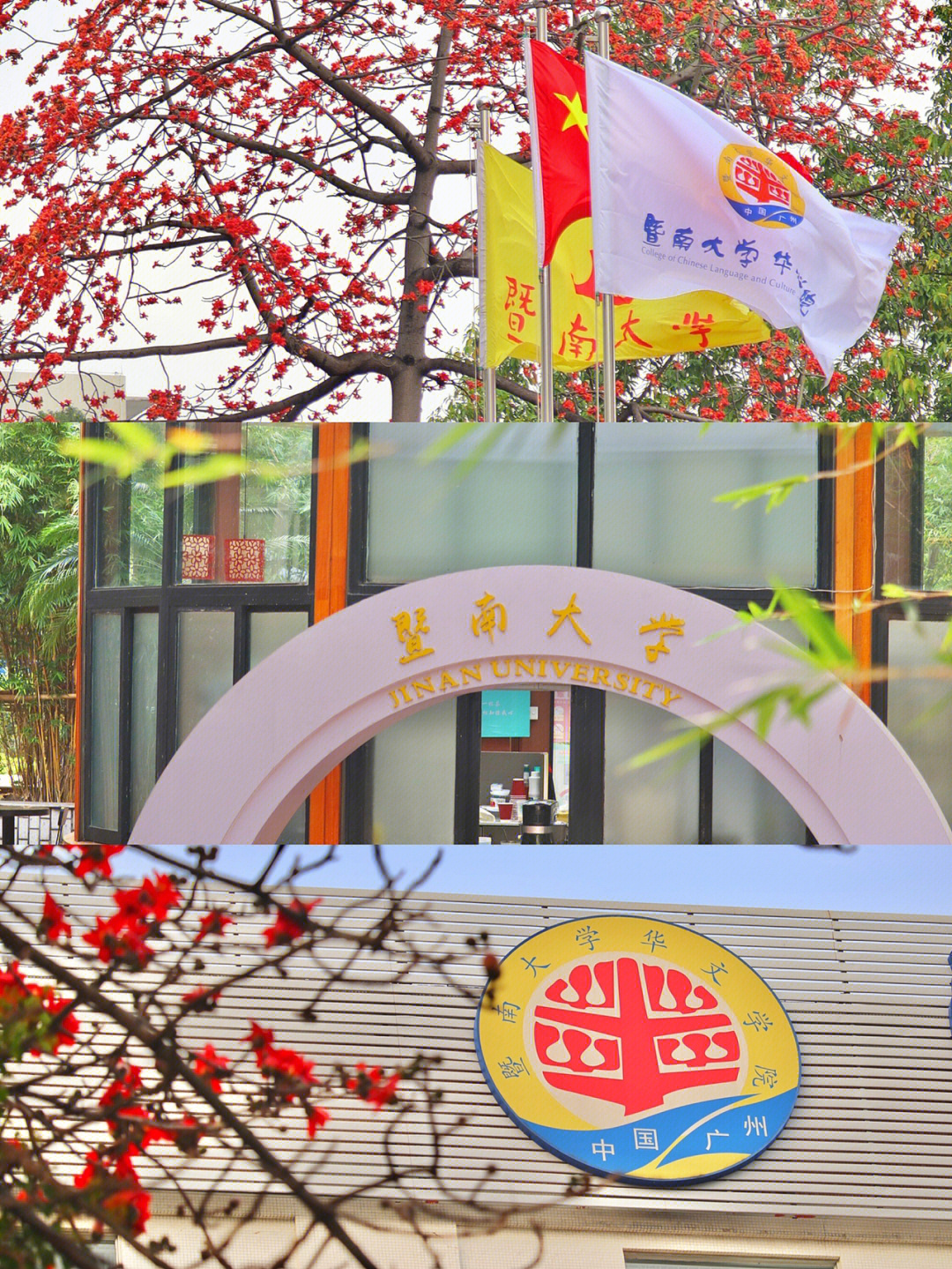 暨南大学华文校区图片