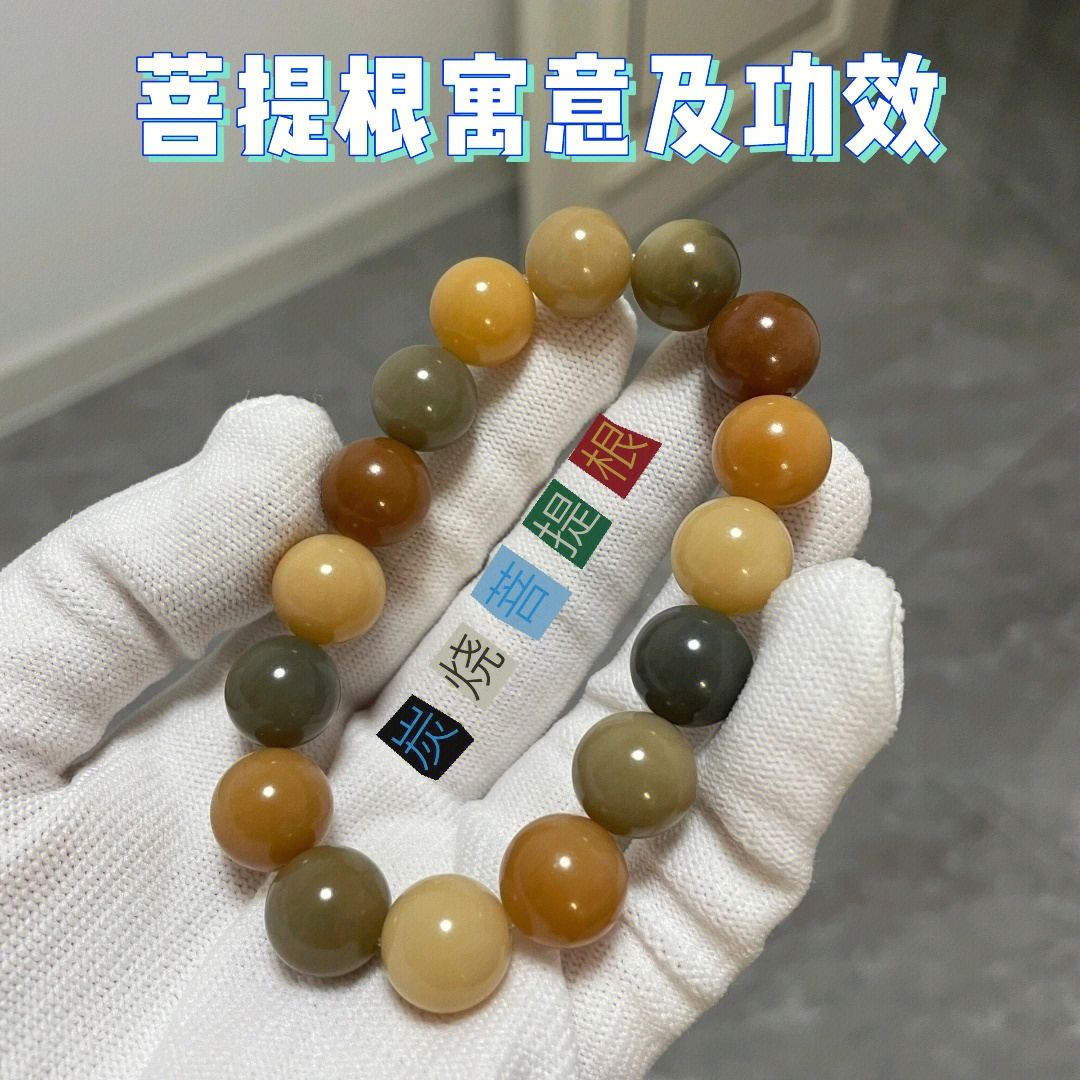 菩提子的作用与功效图片