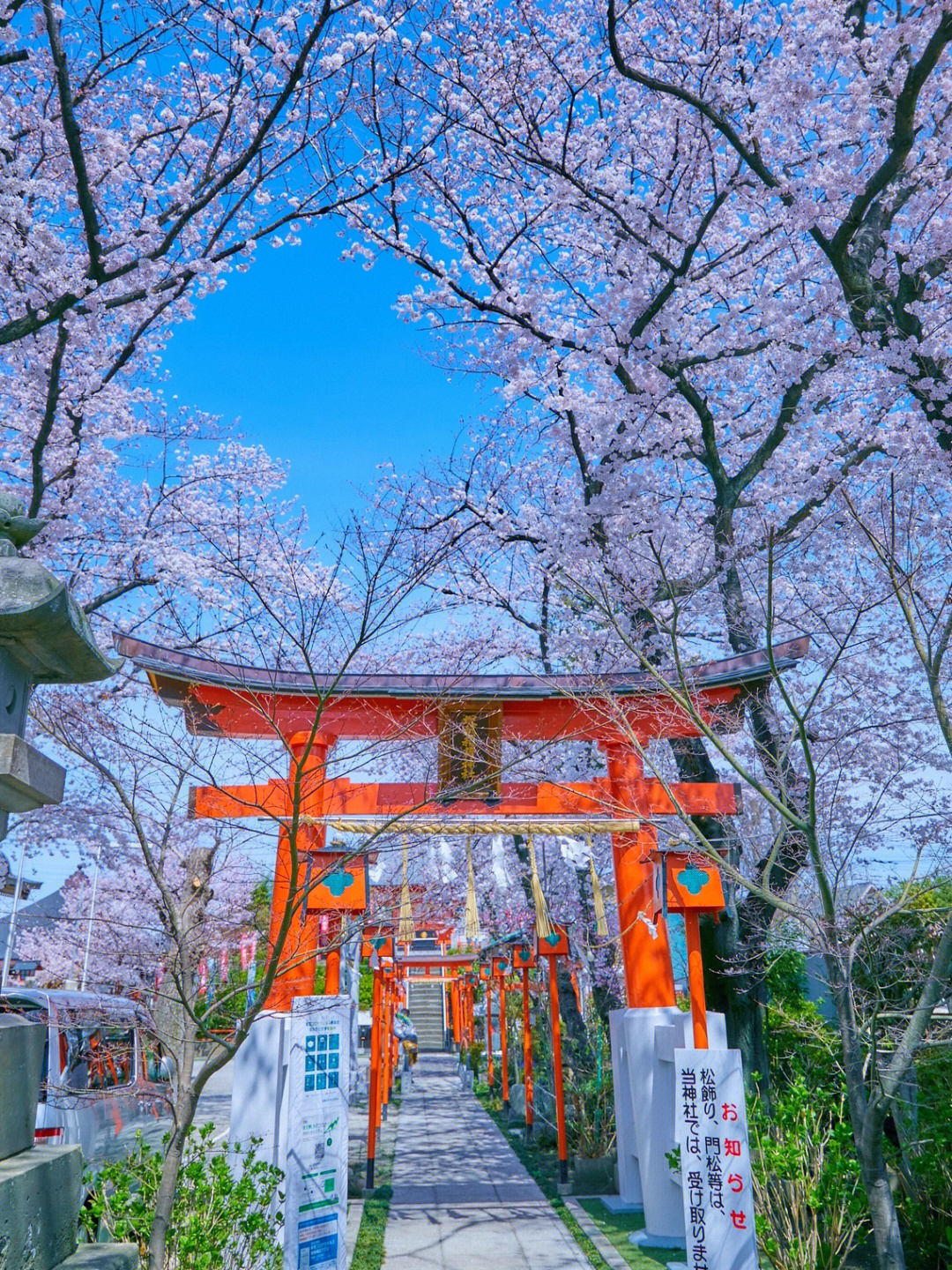 皮卡堂樱花神社婚纱照图片