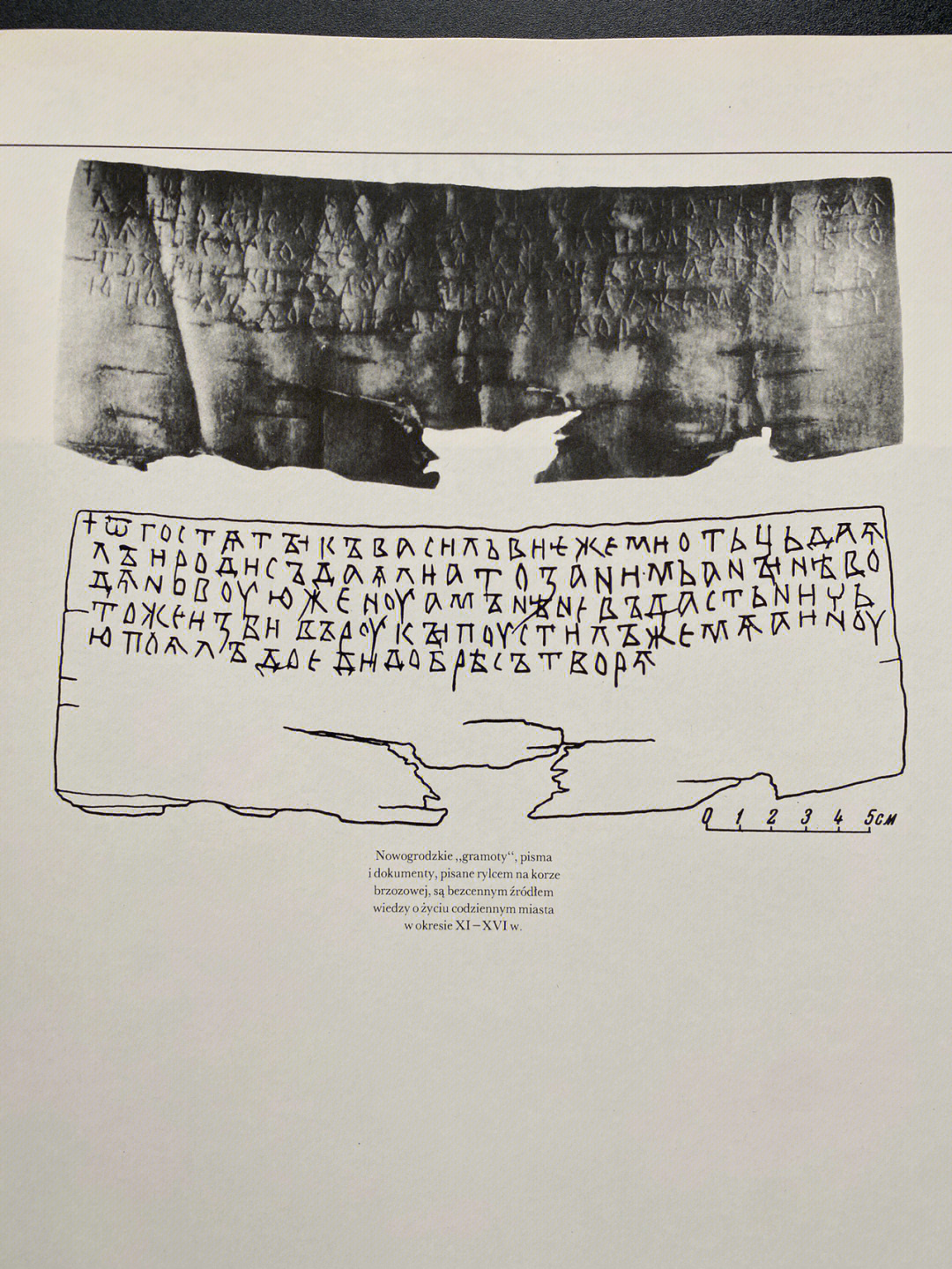 看看古代斯拉夫人信件和文件,用手写笔在桦树皮上书写,是了解 11 至