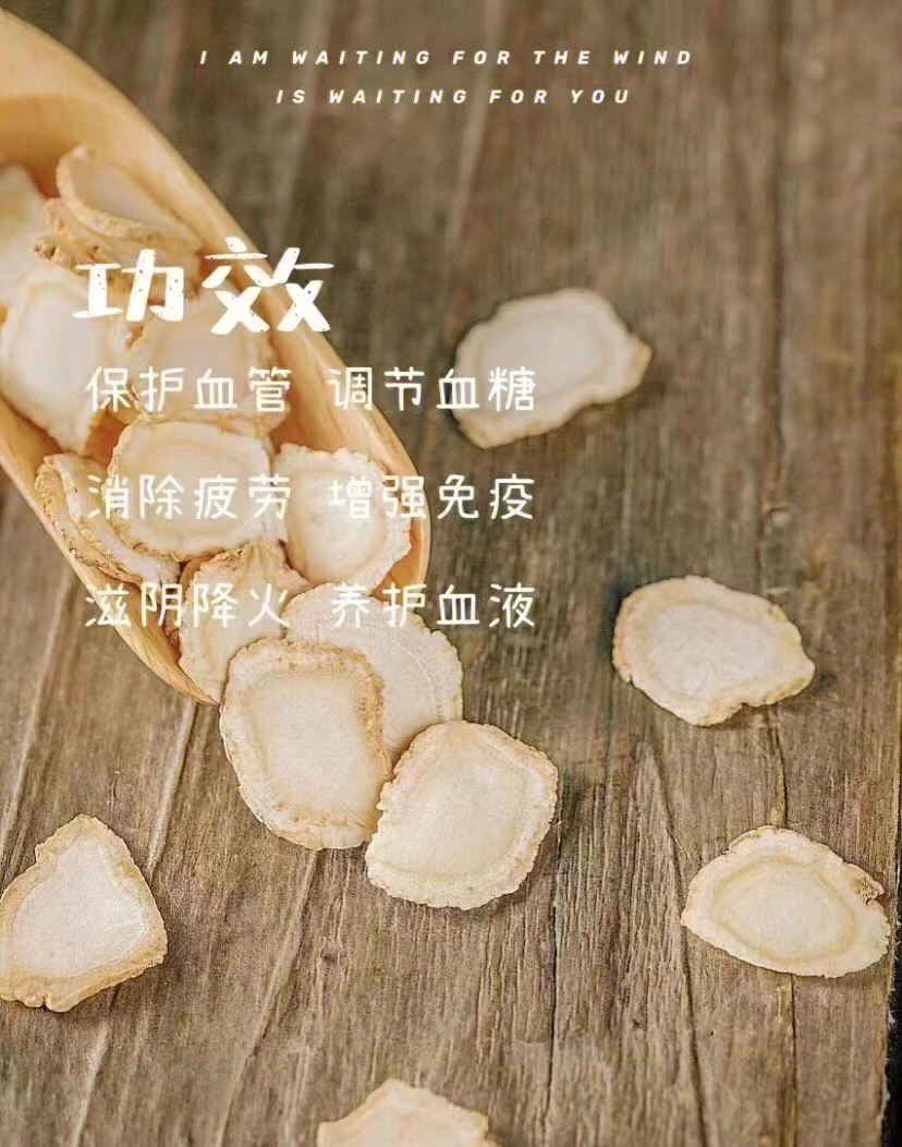 西洋参功能主治 功效图片