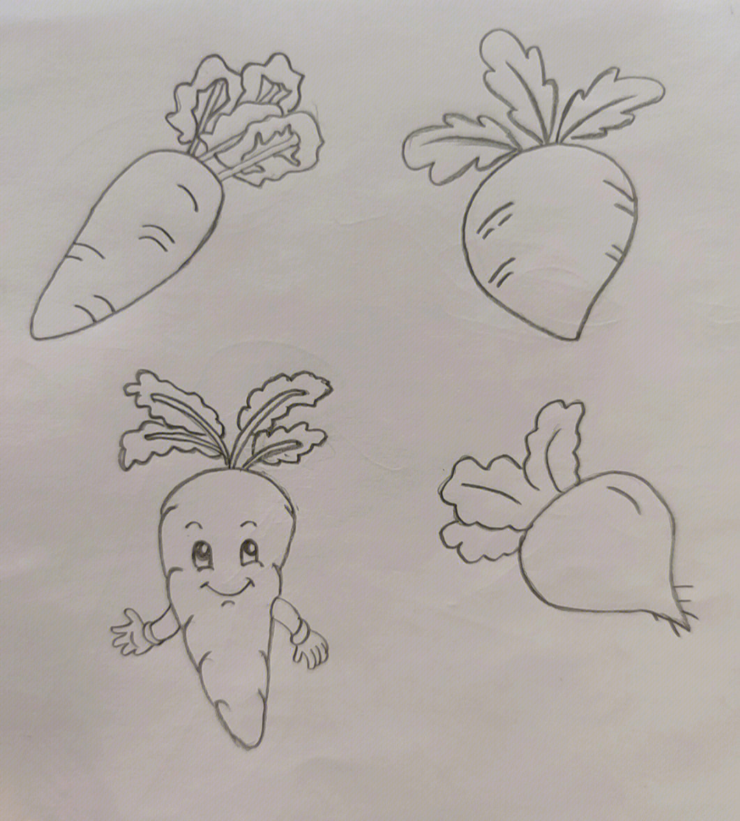 萝卜的简易画法图片图片